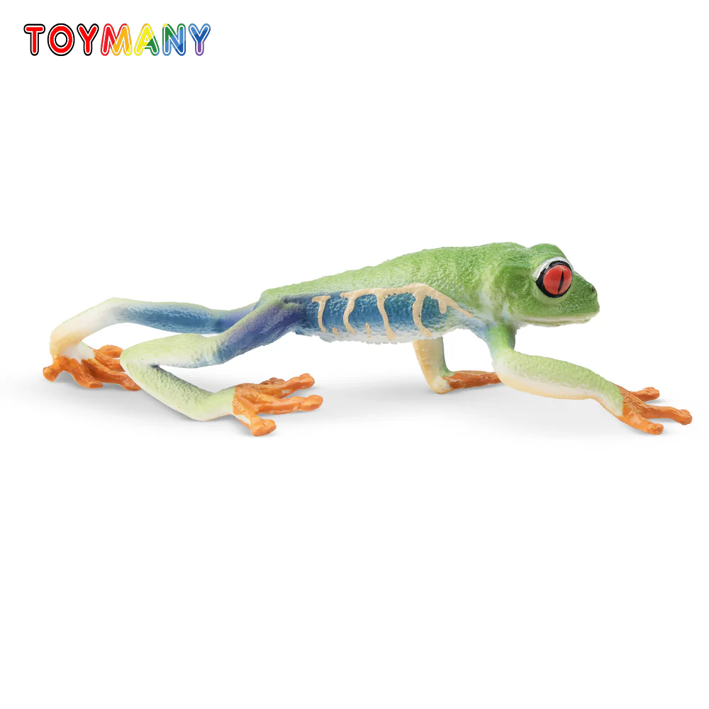 Kids Toys Latest - Toymany Simulation Red-eyed Tree Frog Reptile