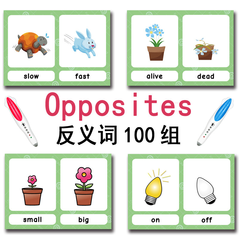 The 100 Groups Opposites Flash - Kids Toys Latest review and price