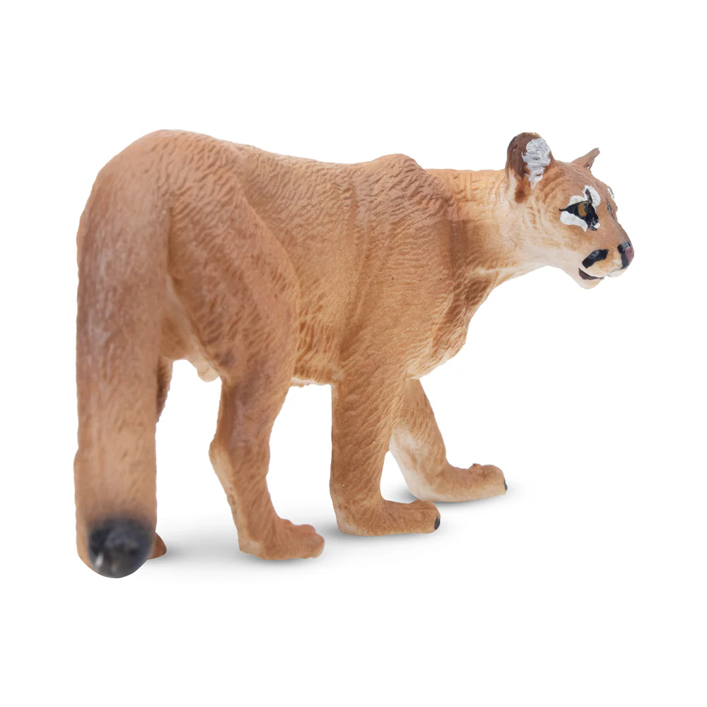 Toymany Simulation Cougar Wild - Kids Toys Latest review and price